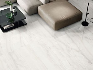 Elysium Tile - Akoya White Polished 24x48